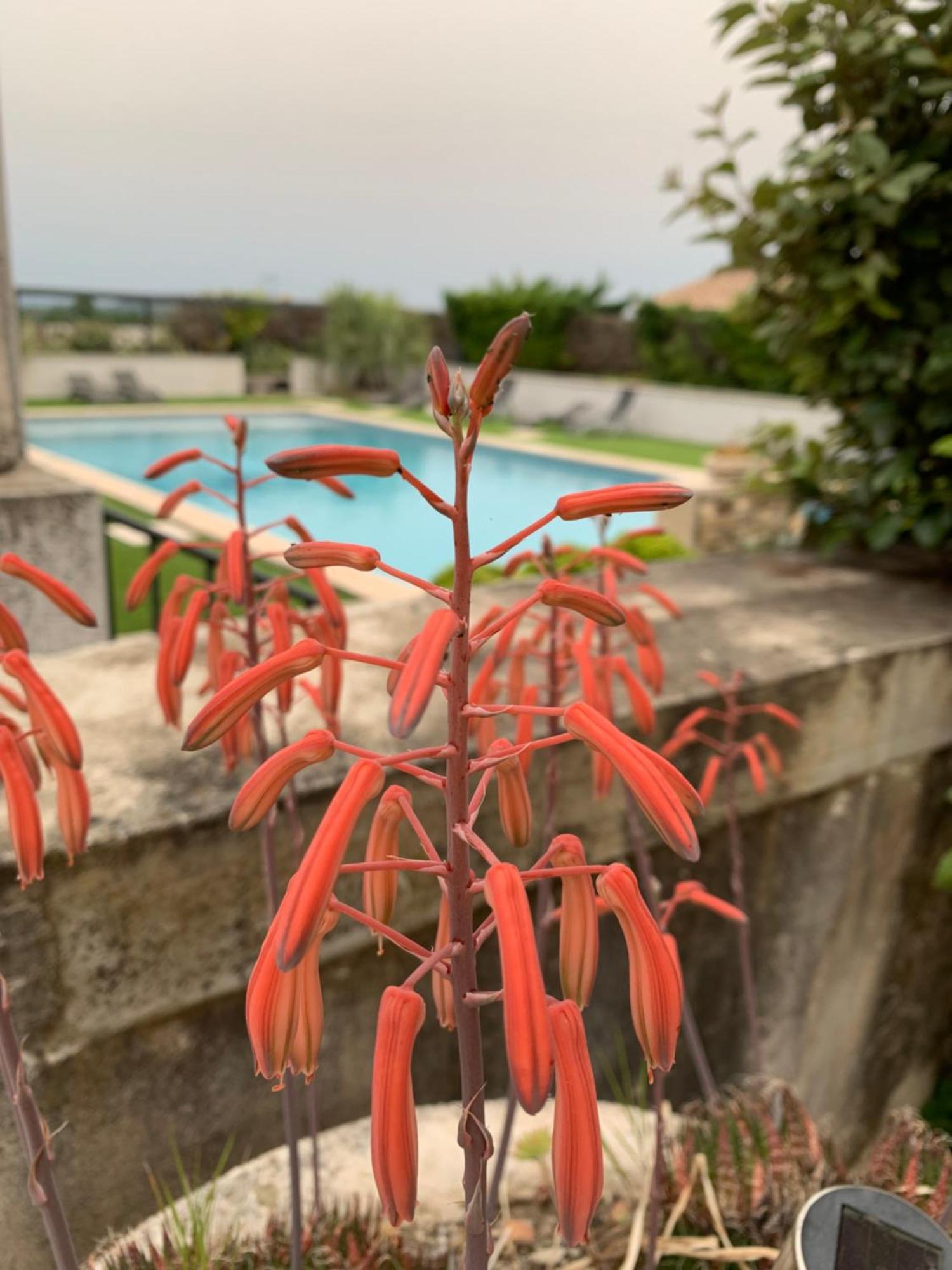 Domaine Forvent Bed & Breakfast Saint-Julien-de-Peyrolas ภายนอก รูปภาพ