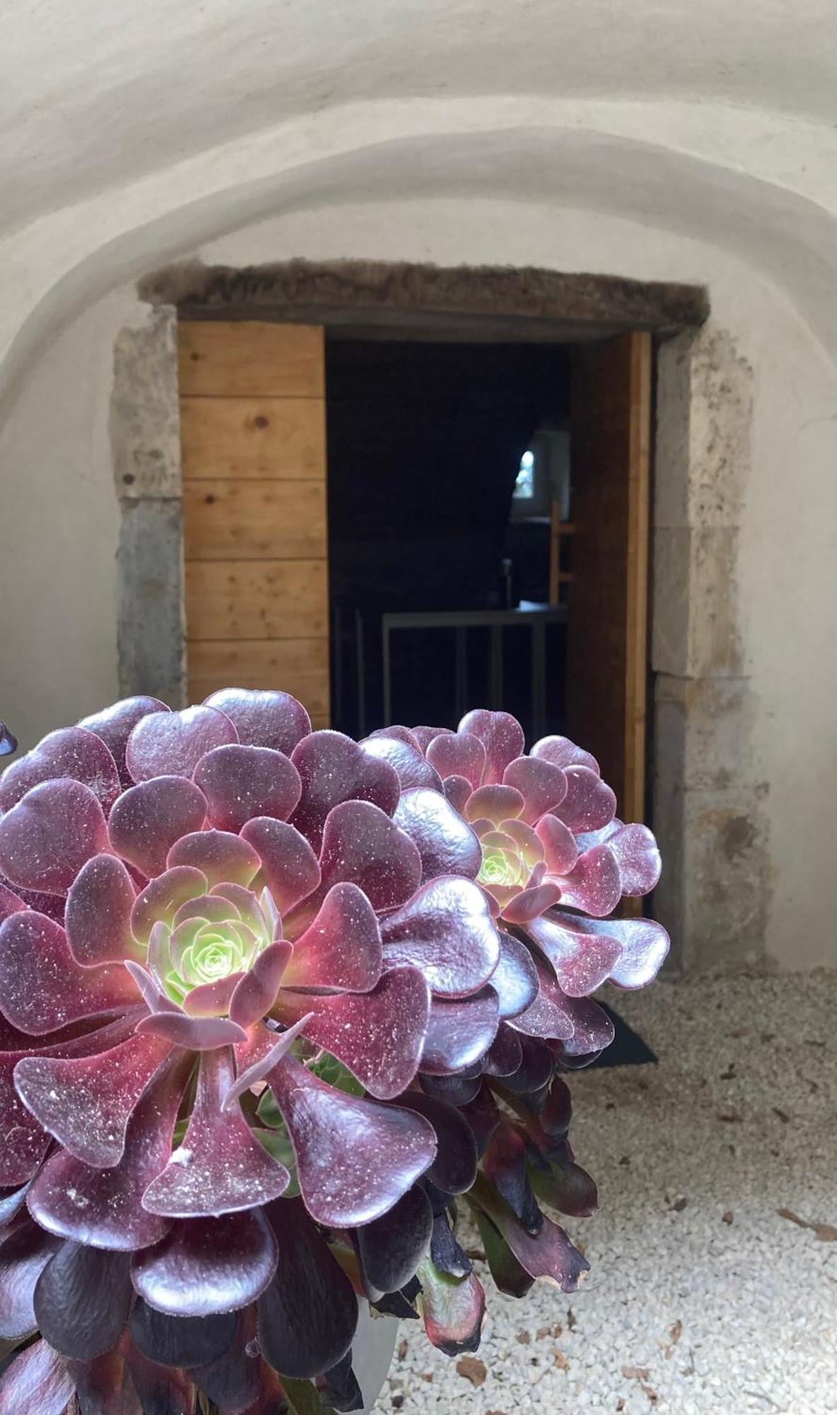 Domaine Forvent Bed & Breakfast Saint-Julien-de-Peyrolas ภายนอก รูปภาพ